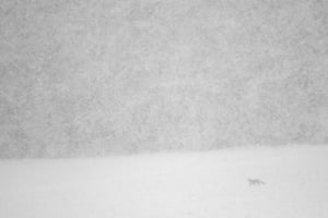 Runner-up,Young photographers 15-17 years (France), Amid the storm