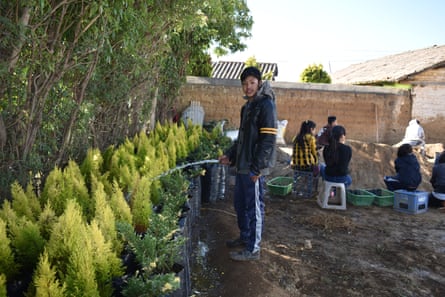 A boy waters rows of small cyprus trees as other teenagers sit in the background