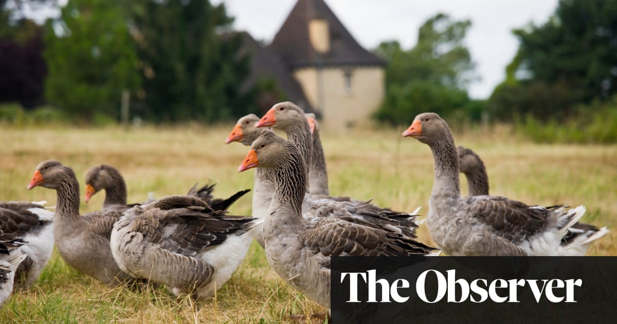 MPs unite to call for total ban on ‘wicked’ foie gras in the UK
