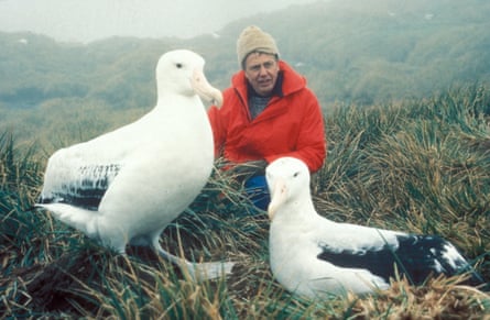 David Attenborough beside two wandering Albatross on Bird Island, South Georgia for The Living Planet.