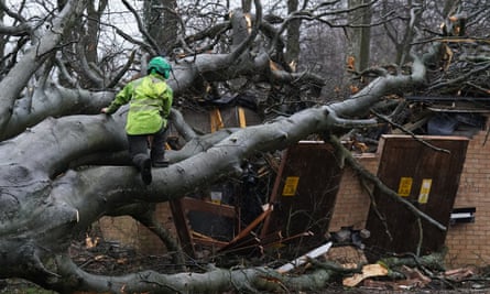 Workers remove a tree that fell on an electricity substation on the Kinnaird estate in Larbert, near Falkirk