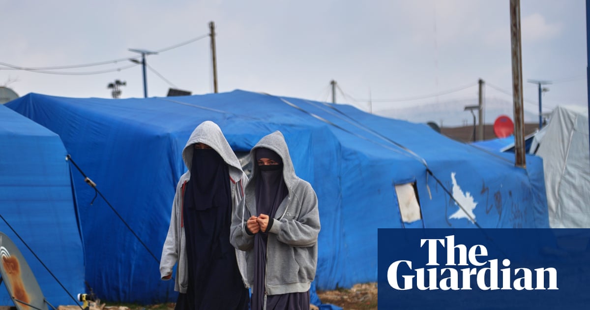 Tony Burke ‘taking advice’ from security agencies about Australian women and children in Syria seeking to return
