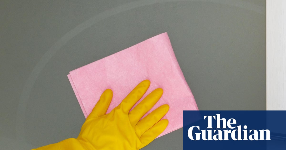 Why your house might be too clean - video