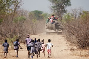 Tractor carrying a dead elephant