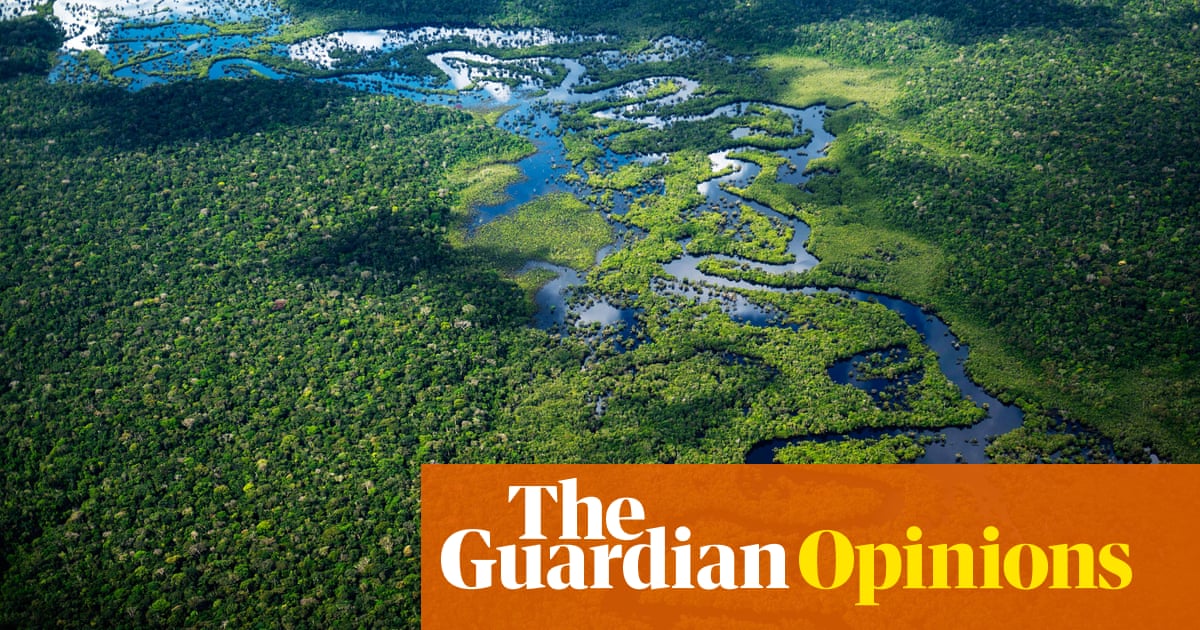 Can Lula save the Amazon? His record shows he might just pull it off
