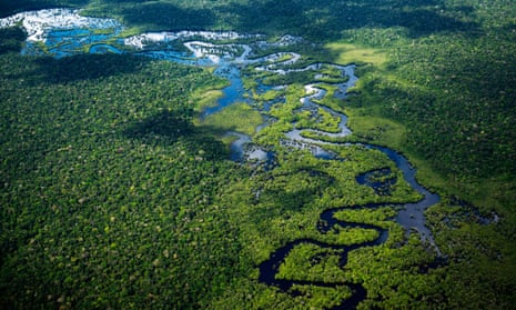 Aerial view of the Amazon rainforest.