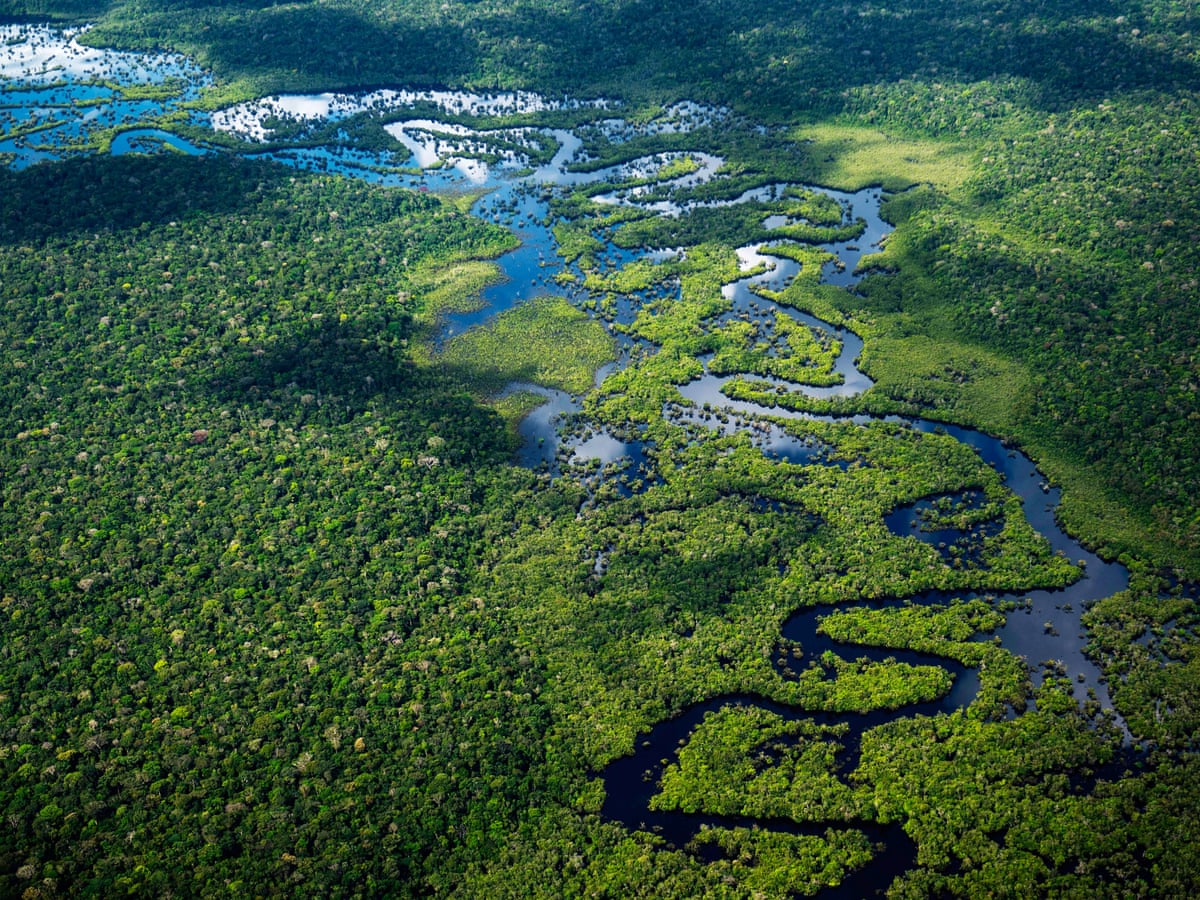 River World The Amazon River Top 5 Longest Rivers in the World ...