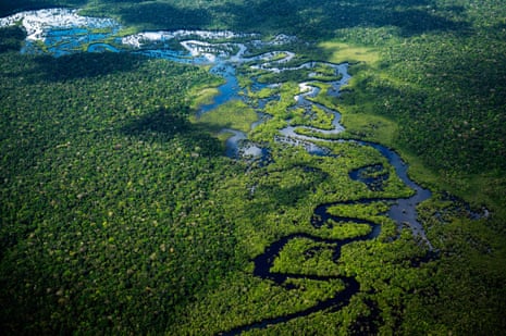 Seven reasons to be cheerful about the Amazon in 2023 – and three to be  terrified | Amazon rainforest | The Guardian