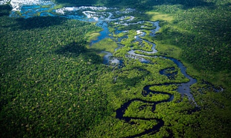 Aerial view of the Amazon rainforest 