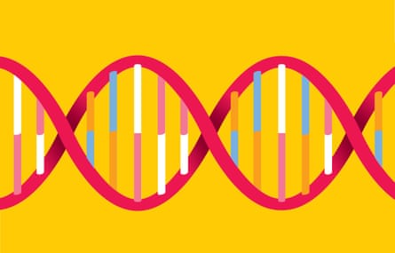 Selfish Gene genetic DNA illustration
