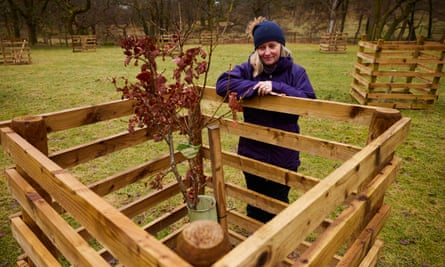 Bea Mornington who looks after the celebration wood at Naddle farm