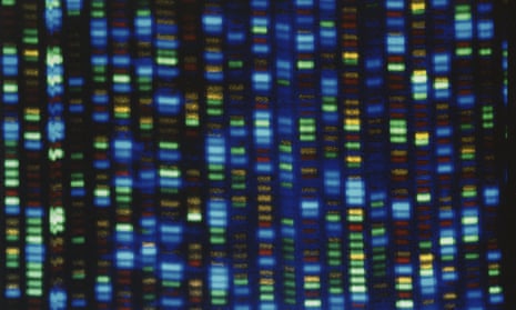 Image from the National Human Genome Research Institute of the output from a DNA sequencer