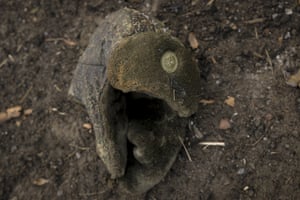 A Russian military hat lies on the pavement after Ukrainian forces overran a Russian position outside Kyiv, Ukraine, on Thursday.