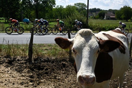 Admittedly, this photo is from last year’s Tour.