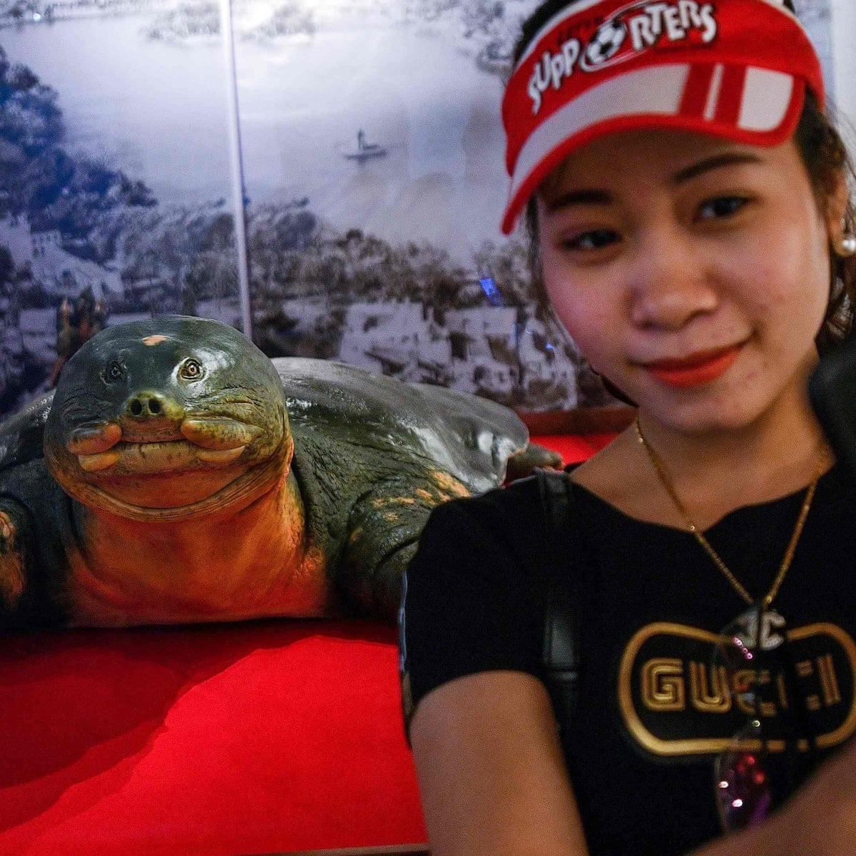 Hoan Kiem Turtle hoan-kiem-turtle
