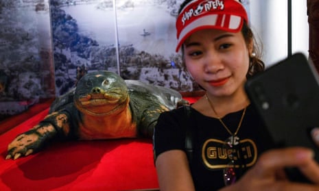 A woman takes a selfie with the embalmed giant turtle displayed at Ngoc Son temple in Hanoi.