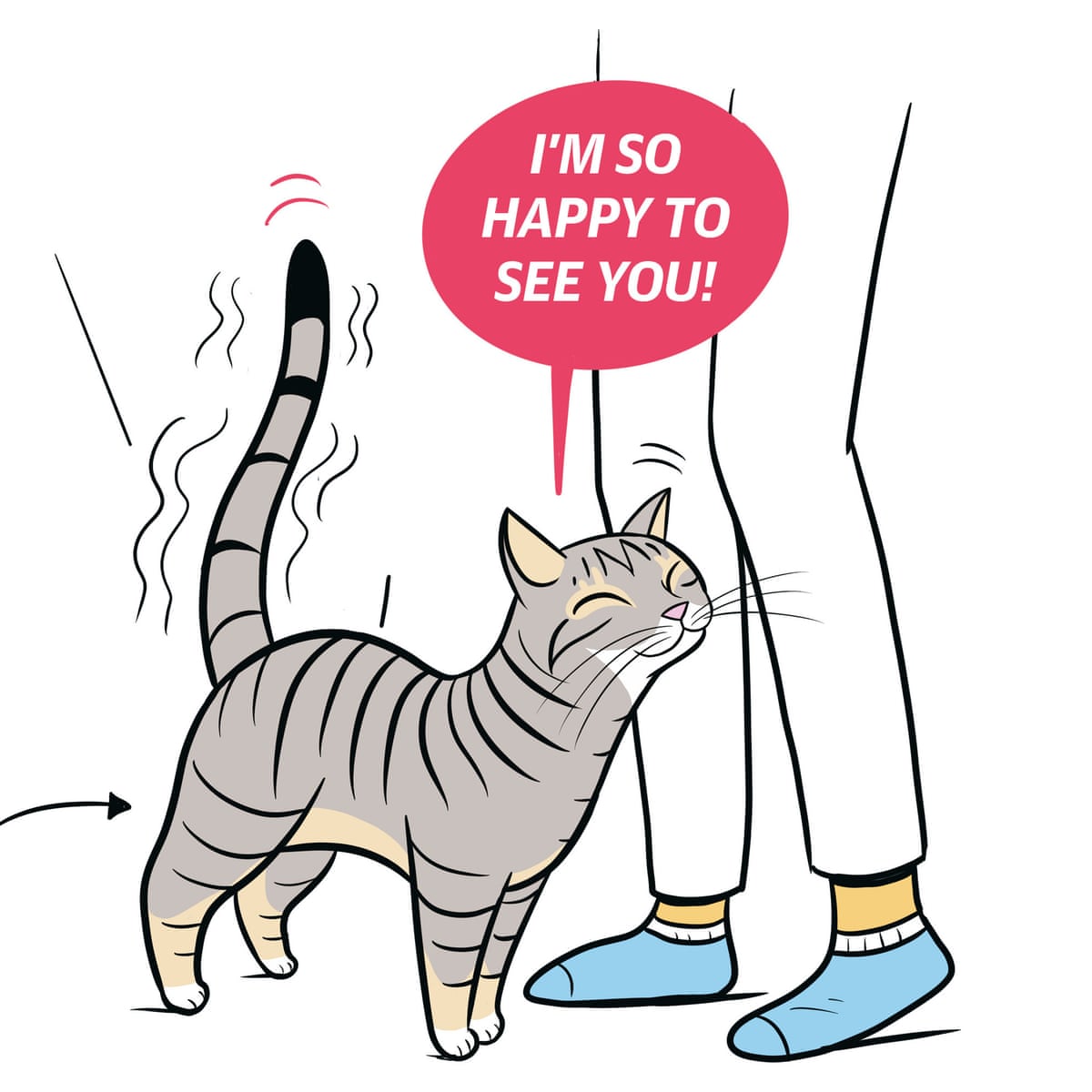 What Does It Mean When a Dog Pees on You? Discover the Hidden Messages Behind Your Dog's Behavior