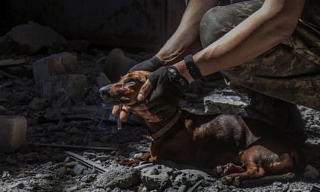 Ukrainian service members help a small dog found in a destroyed building in the ruined city.