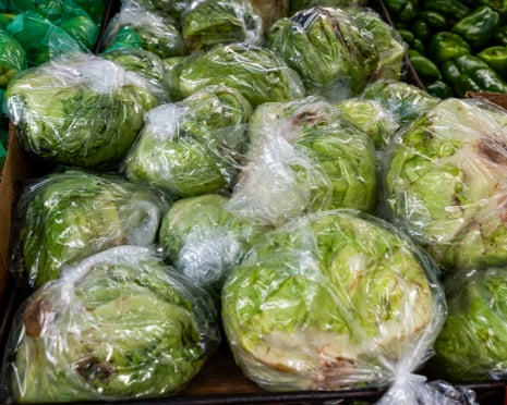 Lettuce and other vegetables are displayed