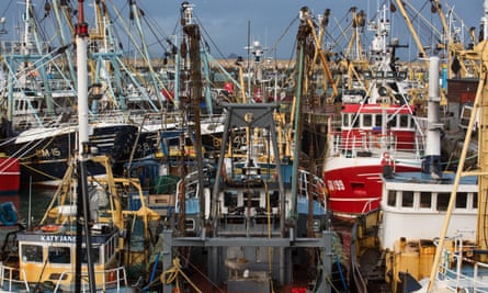 The sun shines on a forest of masts of colourful fishing vessels moored in a harbour