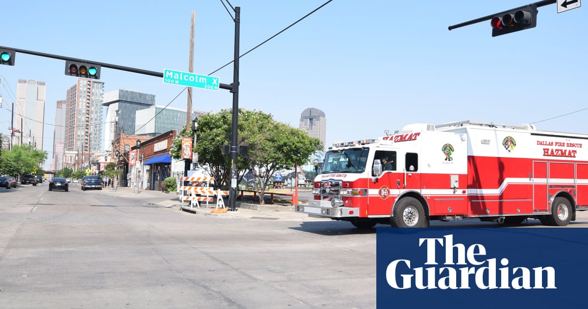 Fire at Dallas pet shop leaves more than 500 animals dead