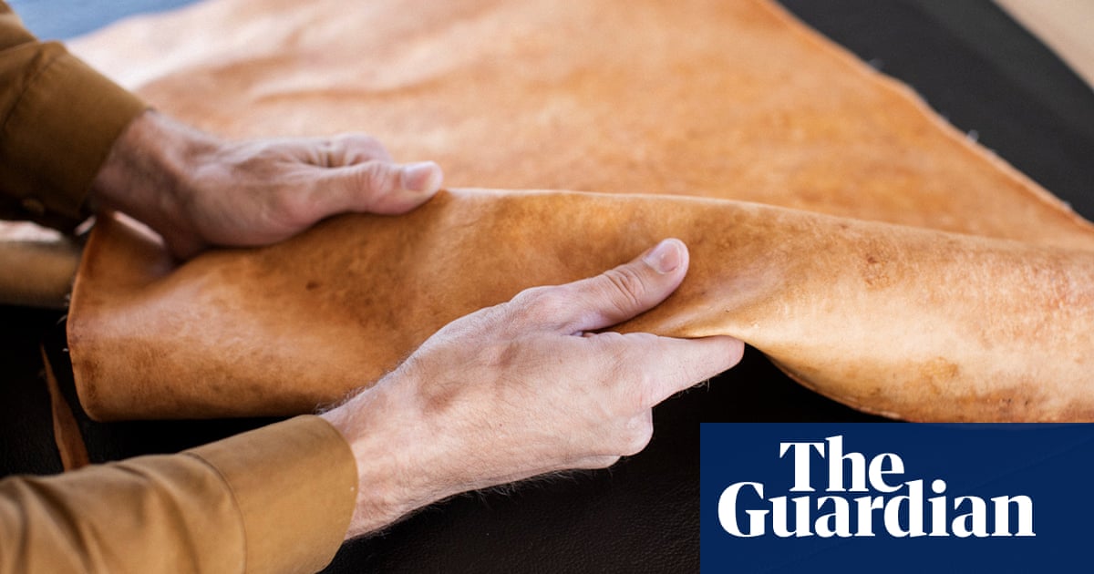 Californian firm touts 'mushroom leather' as sustainability gamechanger | Science | The Guardian