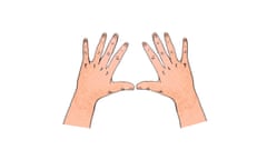 Illustration of two hands laid out flat with palms down, against a white background