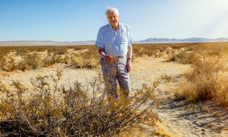 David Attenborough visits the Mojave Desert, California, for an episode of The Green Planet.