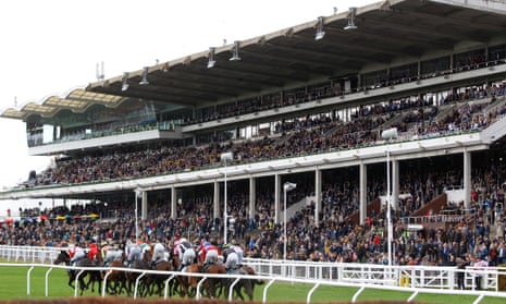 A packed stand at Cheltenham