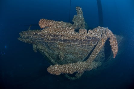 A shipwreck covered in mussels