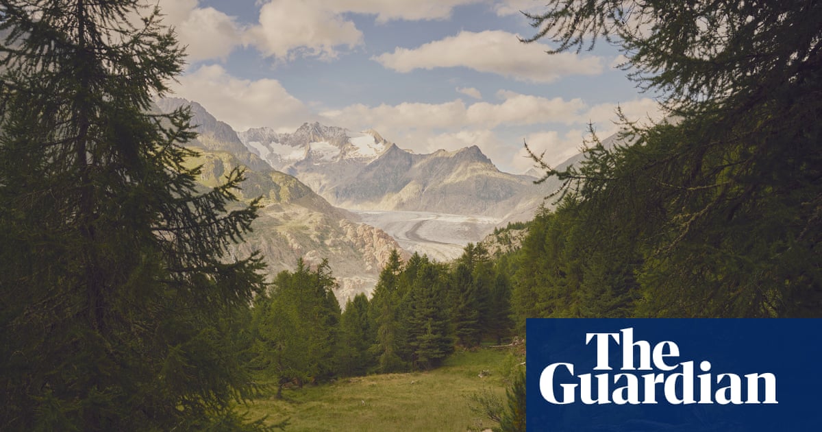 Like walking through time': as glaciers retreat, new worlds are being created in their wake