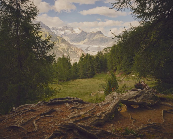 ‘Like walking through time’: as glaciers retreat, new worlds are being created in their wake