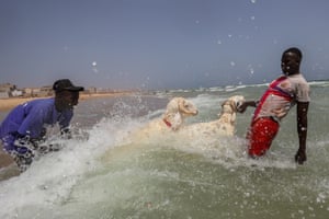 children with sheep in the sea