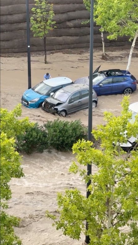 Cars and trees amid floodwaters
