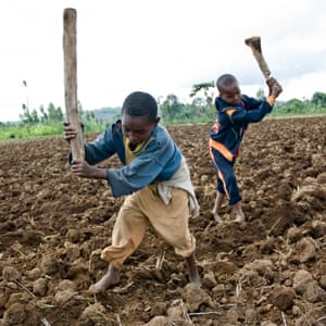 Boys work barefoot on a subsistence farm field in Sodo Wolaita, Ethiopia