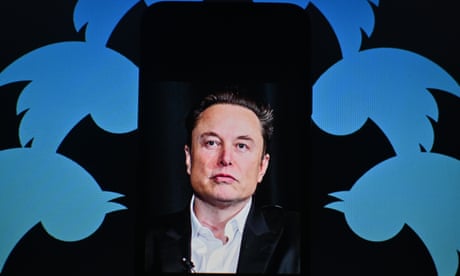 Australian Twitter users aim ire at Elon Musk after apparent local outage