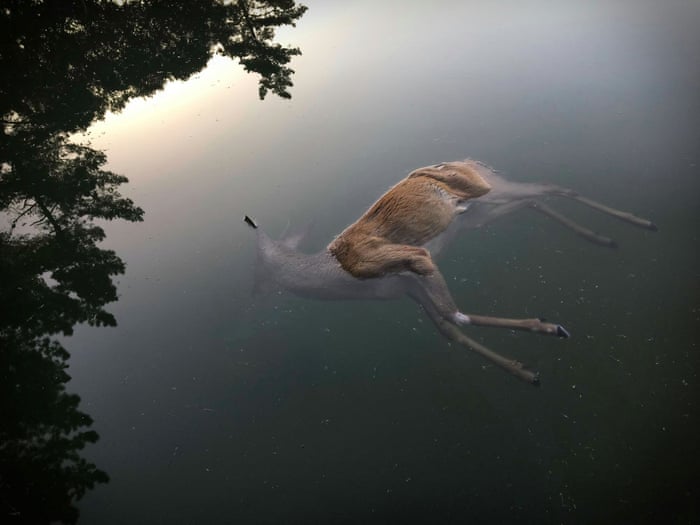 Visual Narrative Photography Examples