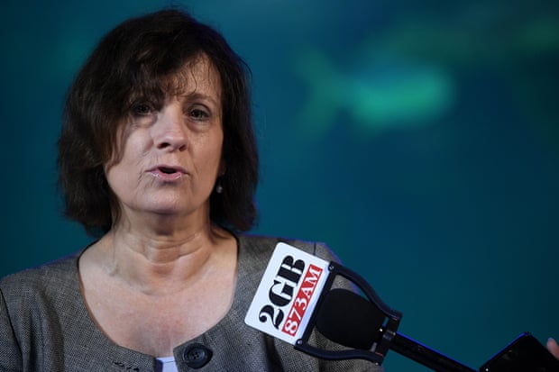 Prof Lesley Hughes speak to the media