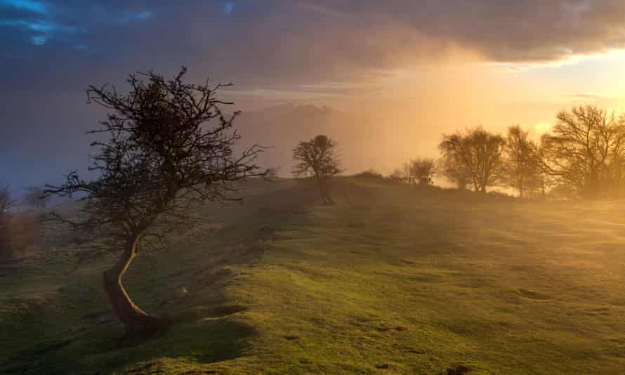 Colina del ahorcado.