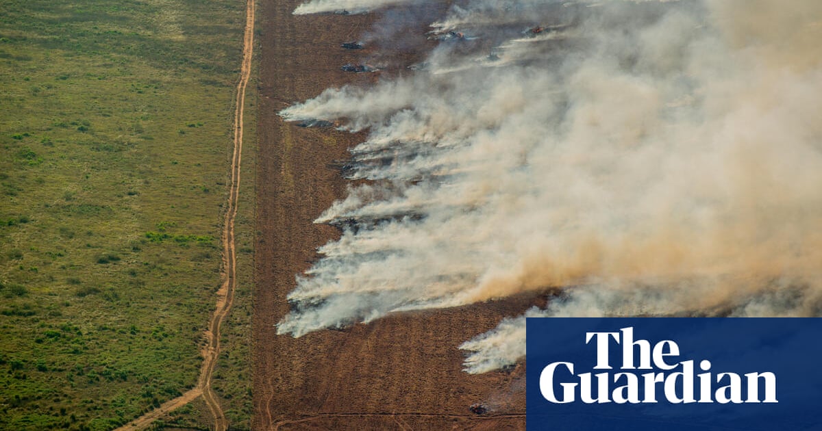 Dramatic footage fuels fears Amazon fires could be worse than last year