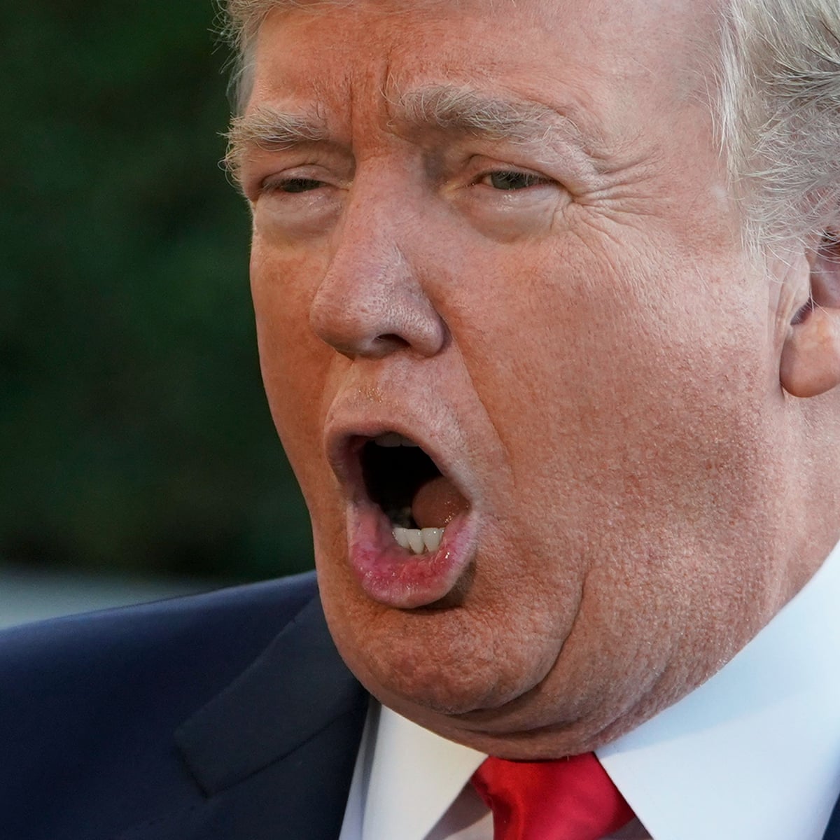 Trump Lashes Out At Ucla Basketball Players I Should Have Left