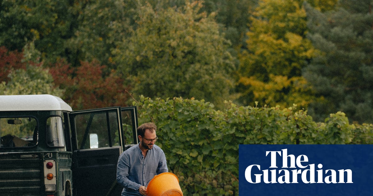 Heard it on the grapevine: Polish wine’s quiet renaissance