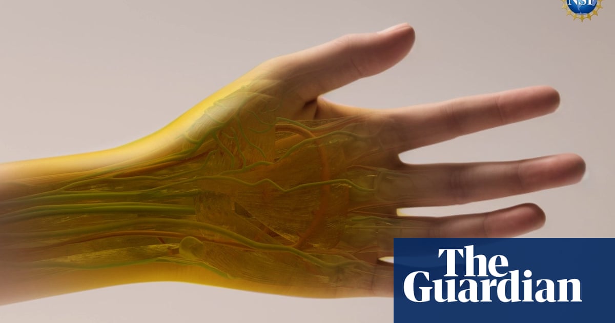 Not unusual meals dye discovered to make pores and skin and muscle briefly clear Not unusual meals dye discovered to make pores and skin and muscle briefly clear