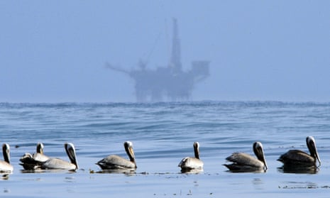 Pelicans float on the water with an offshore oil platform in the background in the Santa Barbara Channel off the coast of California.