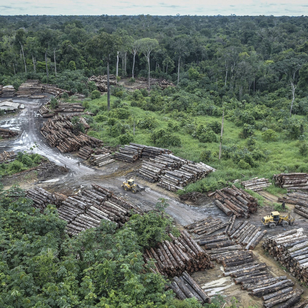 Brazil Huge Rise In Amazon Destruction Under Bolsonaro Figures Show Brazil The Guardian