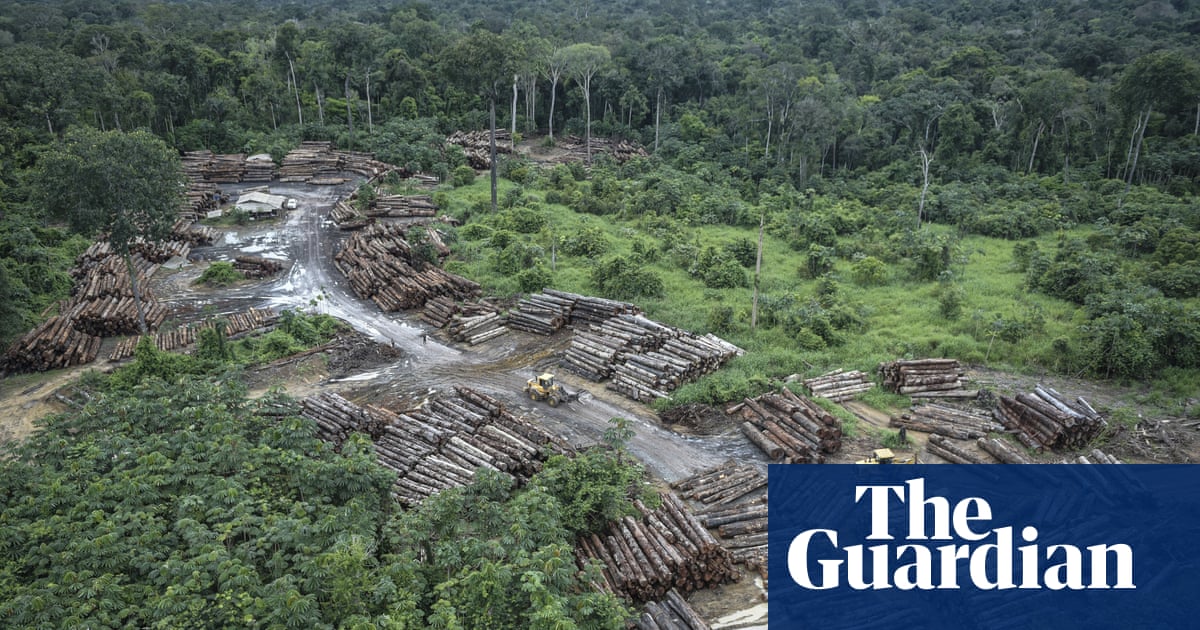 Brazil: huge rise in Amazon destruction under Bolsonaro, figures show