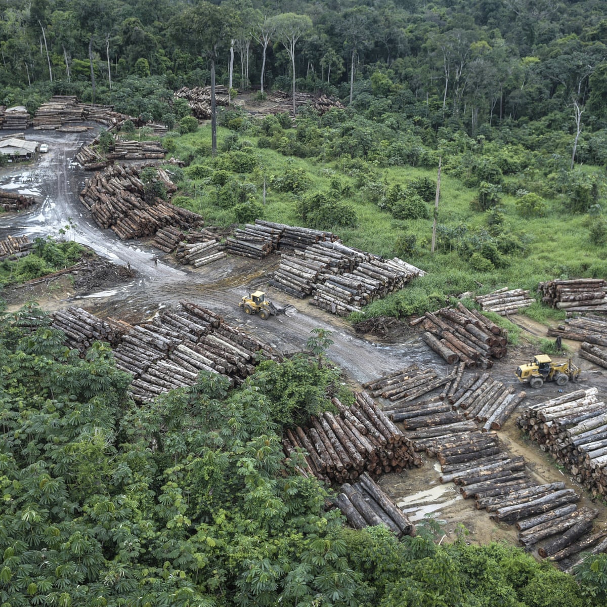 The Guardian View On Amazon Deforestation Europe Must Act To Prevent Disaster Editorial The Guardian The Guardian View On Amazon Deforestation Europe Must Act To Prevent Disaster Editorial The Guardian