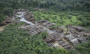 An illegally deforested area in Brazil’s Amazon basin. 