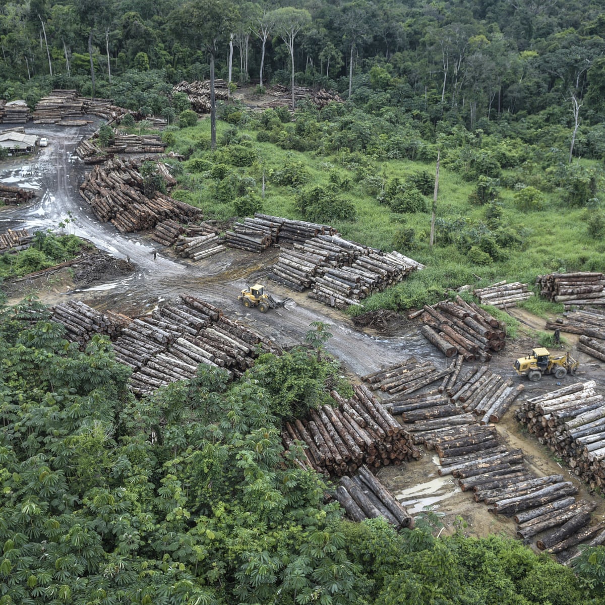 Amazon Deforestation Bolsonaro Government Accused Of Seeking To Sow Doubt Over Data Brazil The Guardian Amazon Deforestation Bolsonaro Government Accused Of Seeking To Sow Doubt Over Data Brazil The Guardian