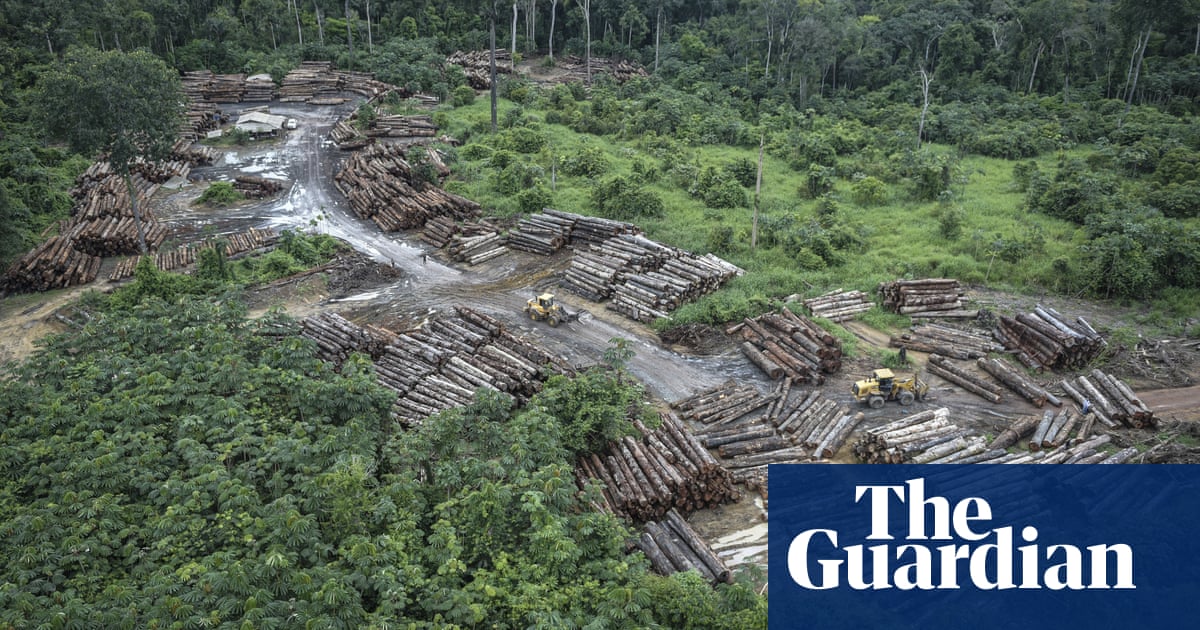 Amazon deforestation: Bolsonaro government accused of seeking to sow doubt over data